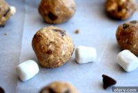 Smore Protein Energy Bites