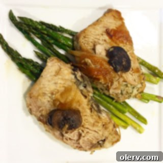 featured 1528