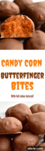 featured 1533