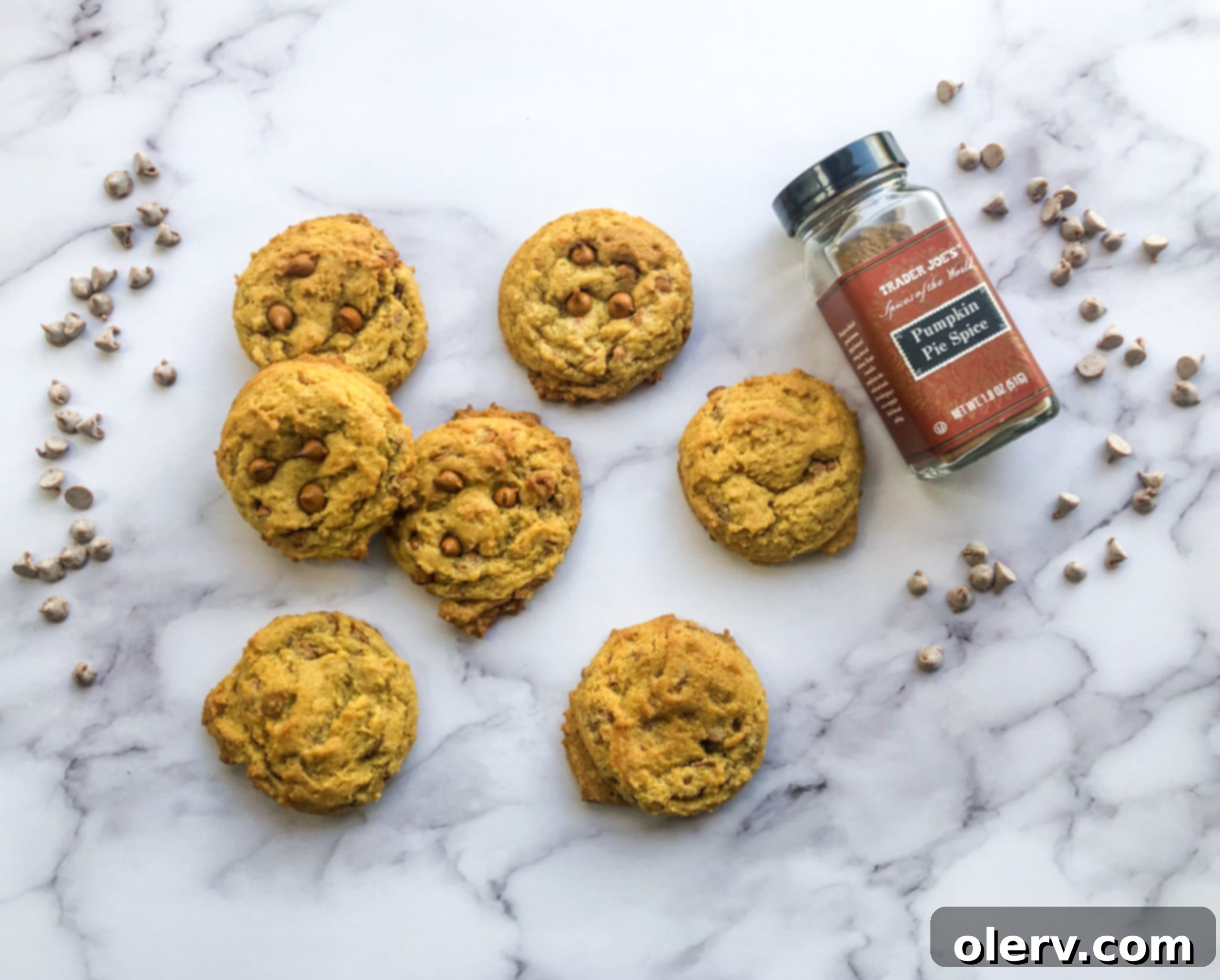 featured 4985 scaled