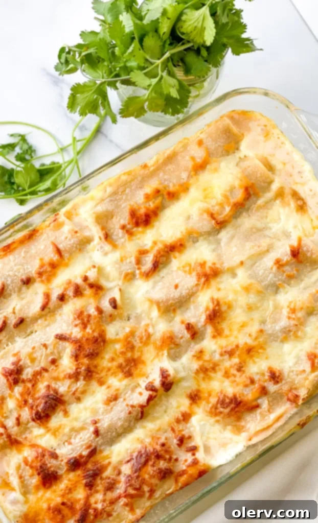 Creamy Chicken Enchiladas with White Sauce 4 Raw ingredients laid out for creamy white chicken enchiladas: onions, garlic, cream cheese, heavy cream, chicken, tortillas, and Monterey Jack cheese