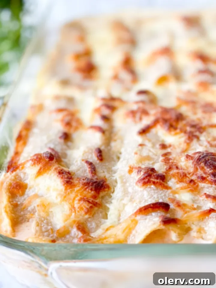 Creamy Chicken Enchiladas with White Sauce 5 A close-up of the flavorful chicken filling mixture in a pan with melted cream cheese, ready to be rolled into tortillas