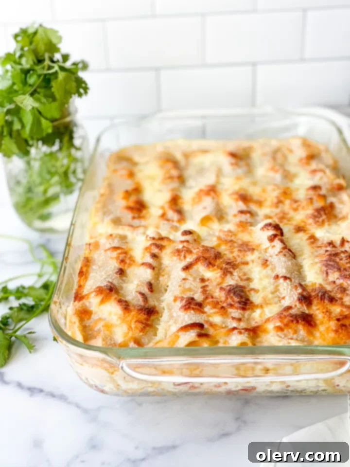 Creamy Chicken Enchiladas with White Sauce 8 Creamy Chicken Enchiladas with White Sauce, ready to be served