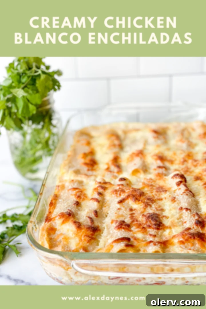 Creamy Chicken Enchiladas with White Sauce Pinterest pin