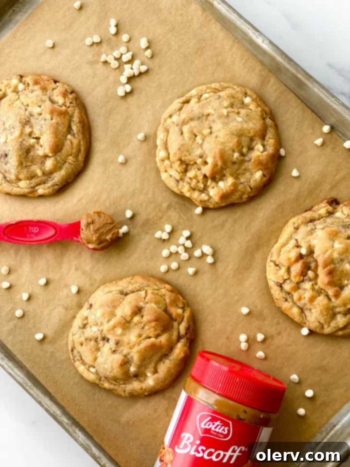 White Chocolate Cookie Butter Bliss 4 Arrangement of essential ingredients for cookie butter cookies, including butter, sugars, and white chocolate chips.