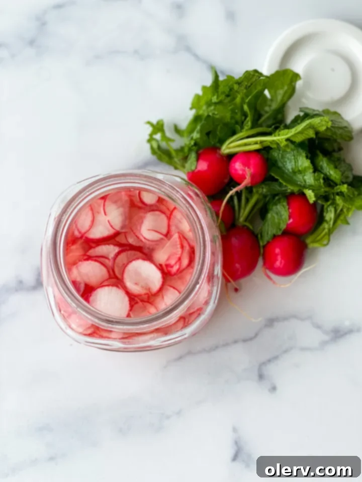 Quick Pickled Radishes 3 A selection of fresh radishes before preparation