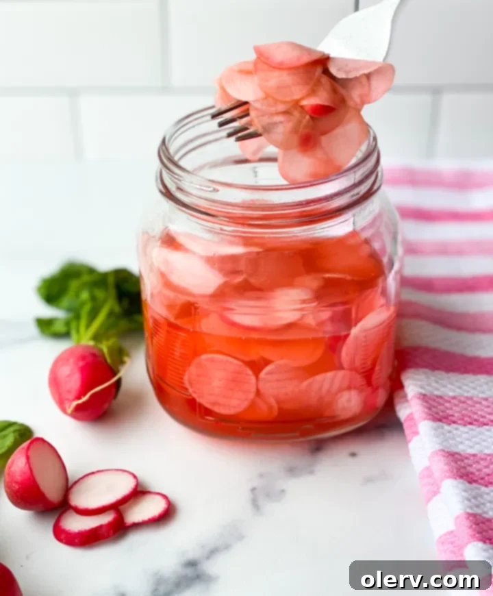 Quick Pickled Radishes 4 Ingredients for pickled radishes laid out on a counter