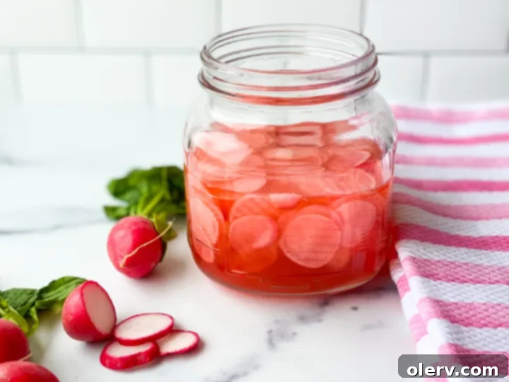 Quick Pickled Radishes 5 Jars of freshly pickled radishes