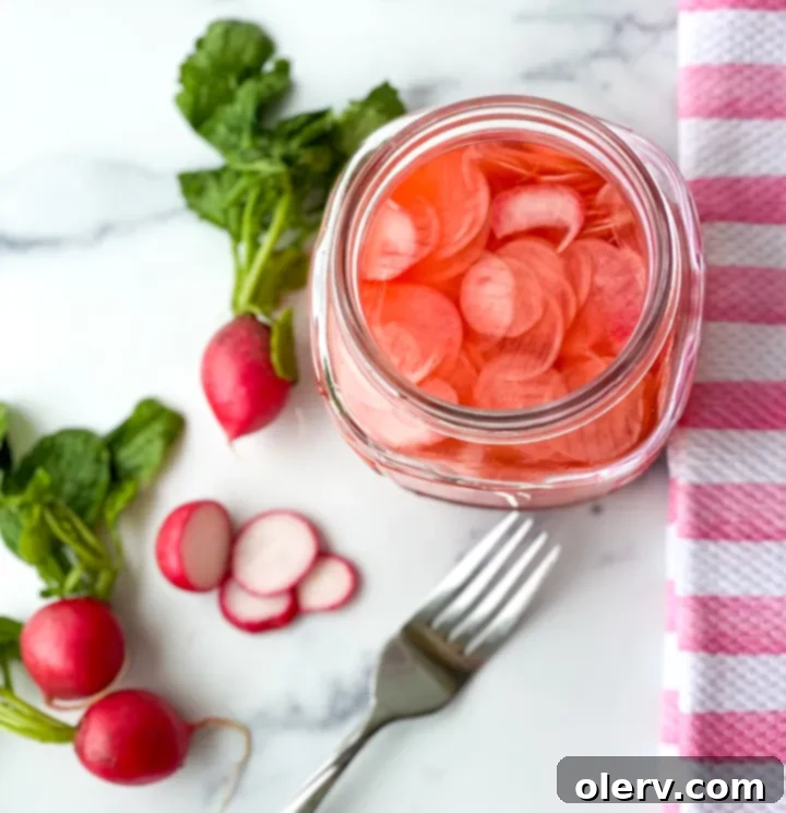 Quick Pickled Radishes 6 A jar of pickled radishes being removed from the fridge