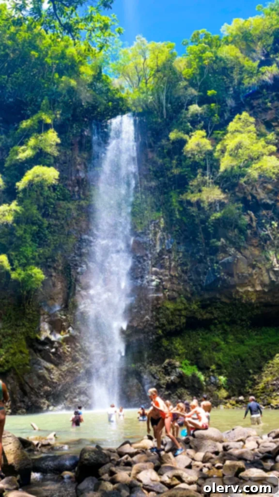 Kauai Revealed: Your Essential Hawaii Travel Companion 4 A scenic road through Kauai's lush mountains
