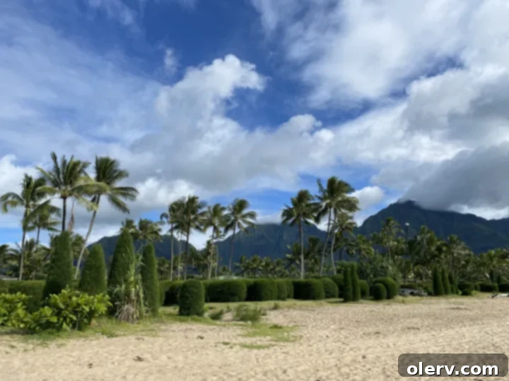Kauai Revealed: Your Essential Hawaii Travel Companion 8 Panoramic view of the Na Pali Coast from a boat