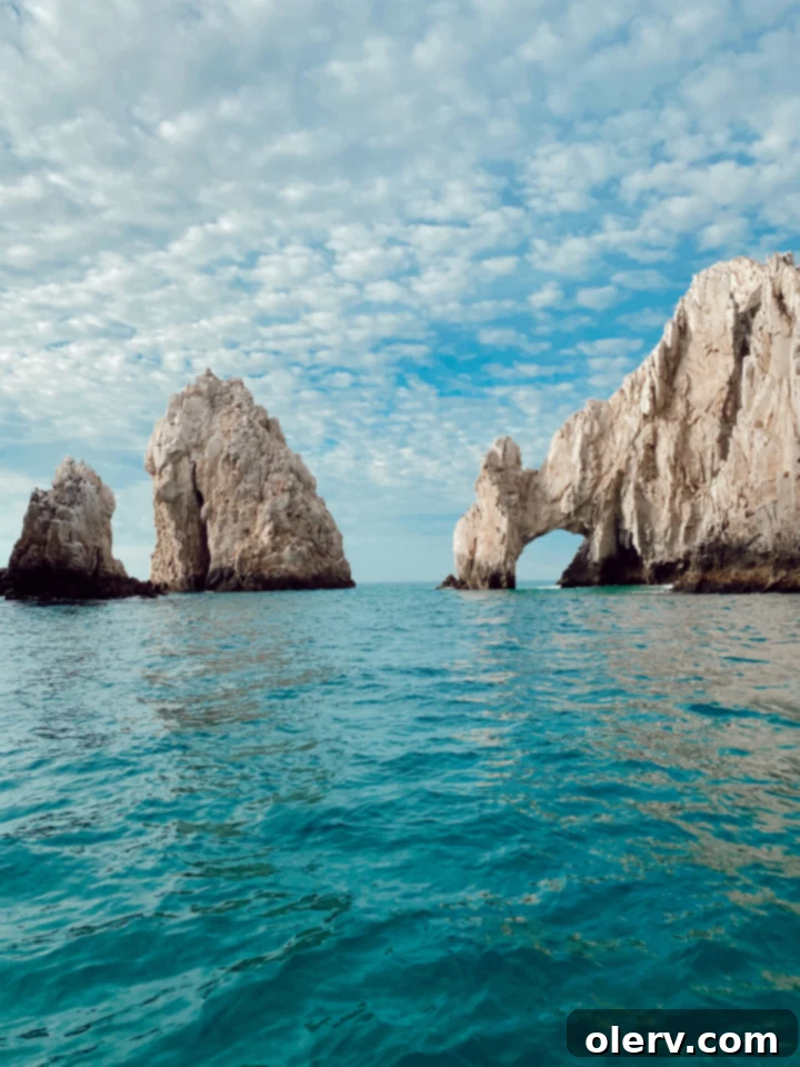 Unlock Cabo San Lucas Your Essential Guide to an Epic Escape 4 Scenic resort pool overlooking the vast ocean in Cabo San Lucas, offering a perfect blend of luxury and natural beauty.