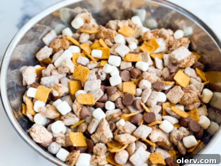 Campfire Crunch Bites 3 Close-up of S'more Muddy Buddies in a bowl, showing texture