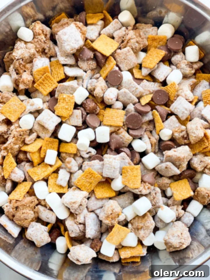 Campfire Crunch Bites 4 Ingredients for S'more Muddy Buddies laid out on a counter