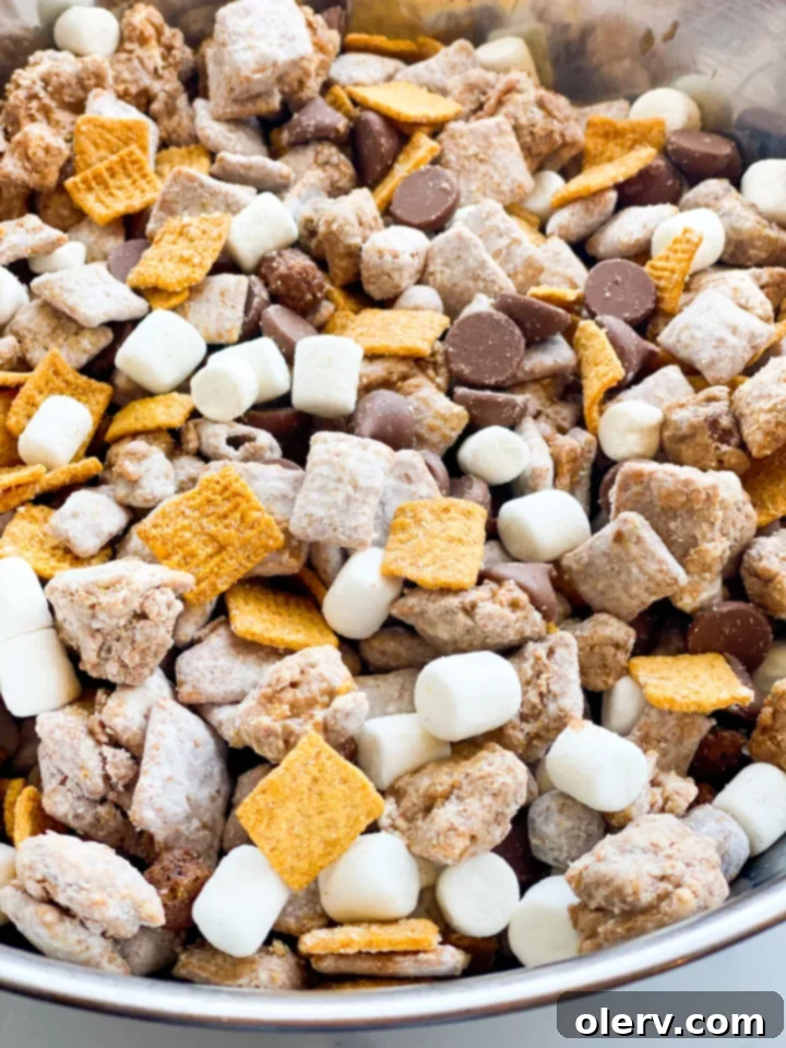 Campfire Crunch Bites 6 A bowl of S'more Muddy Buddies with a hand reaching for a piece