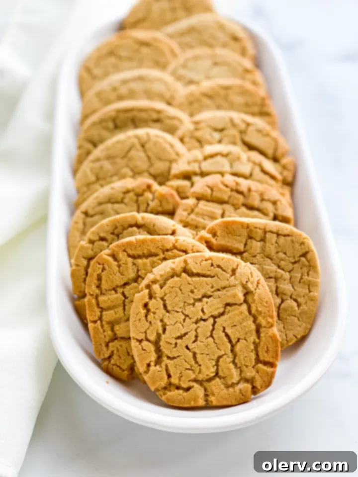 Peanut Butter Cookie Sandwiches 10 Peanut Butter Sandwich Cookies