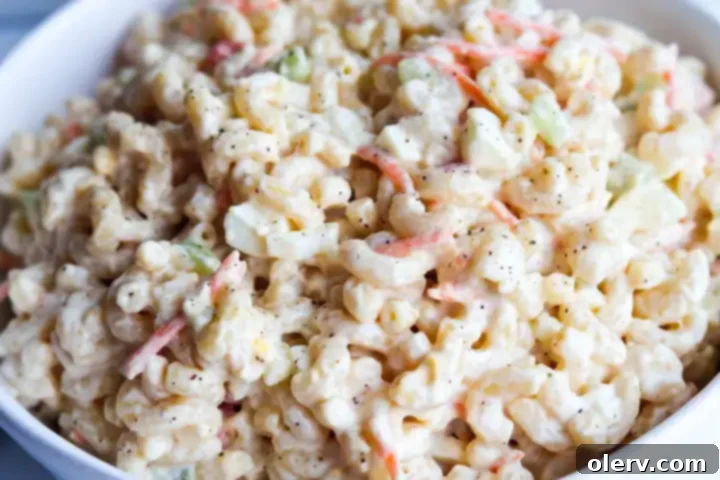 Traditional Pasta Salad 4 Onera Seasoning