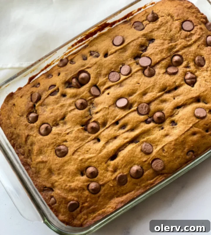 Delicious Pumpkin Chocolate Chip Bars 5 Freshly baked pumpkin chocolate chip bars cooling on a wire rack.