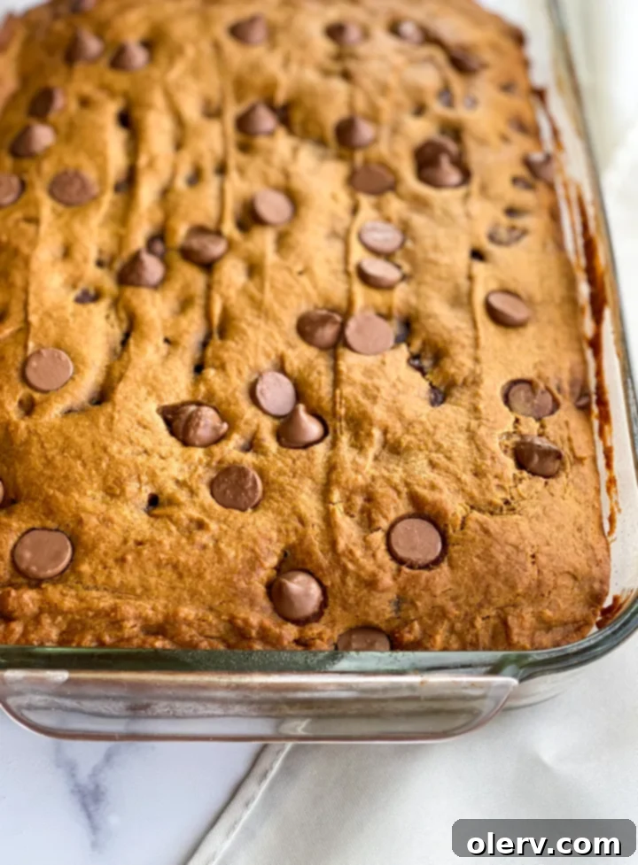Delicious Pumpkin Chocolate Chip Bars 6 Close-up of a single pumpkin chocolate chip bar, showing its soft interior and melted chocolate chips.