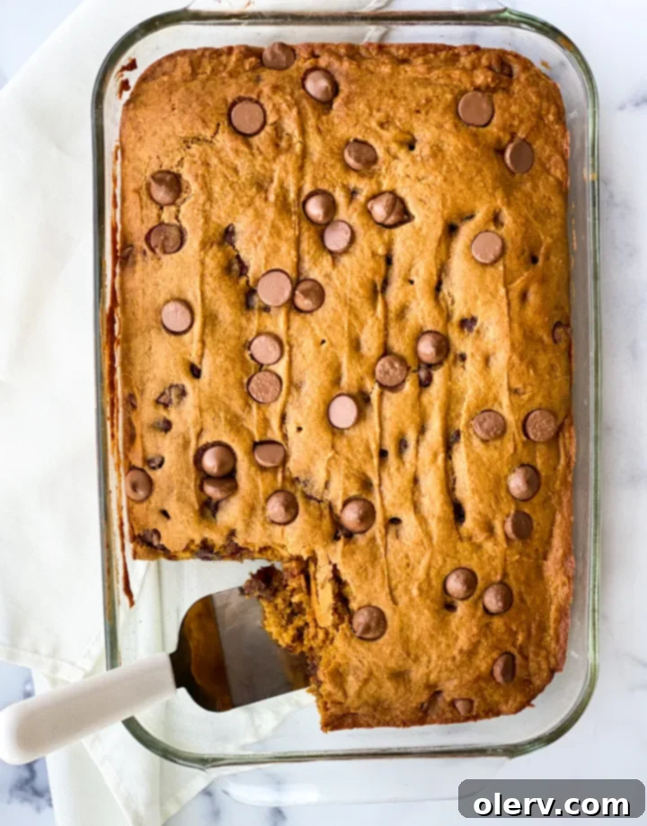 Pumpkin Chocolate Chip Bars in a baking dish