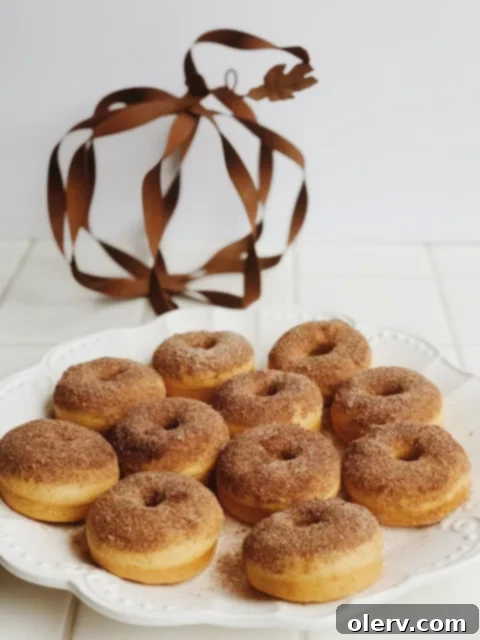 Baked Pumpkin Spice Donuts covered in cinnamon sugar
