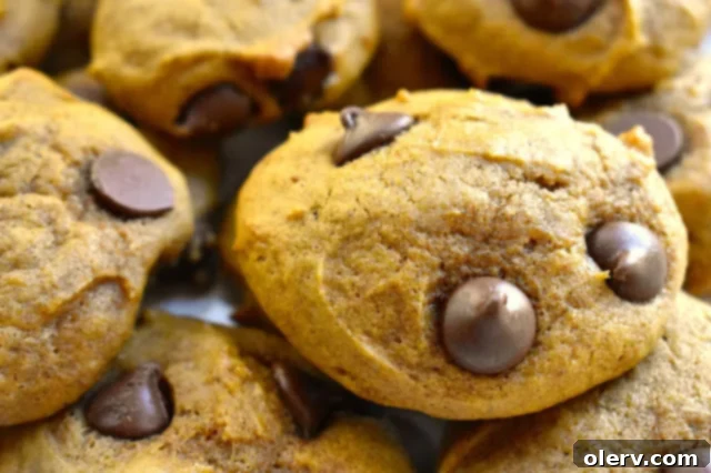 Classic Pumpkin Chocolate Chip Cookies on a cooling rack