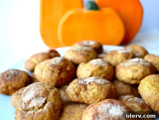 Pumpkin Spice Snickerdoodles with a festive orange hue