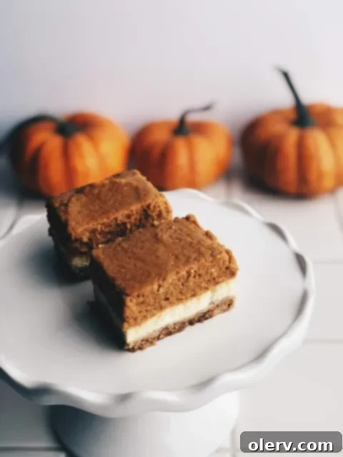 Layered Pumpkin Cheesecake Bars with a thick crust