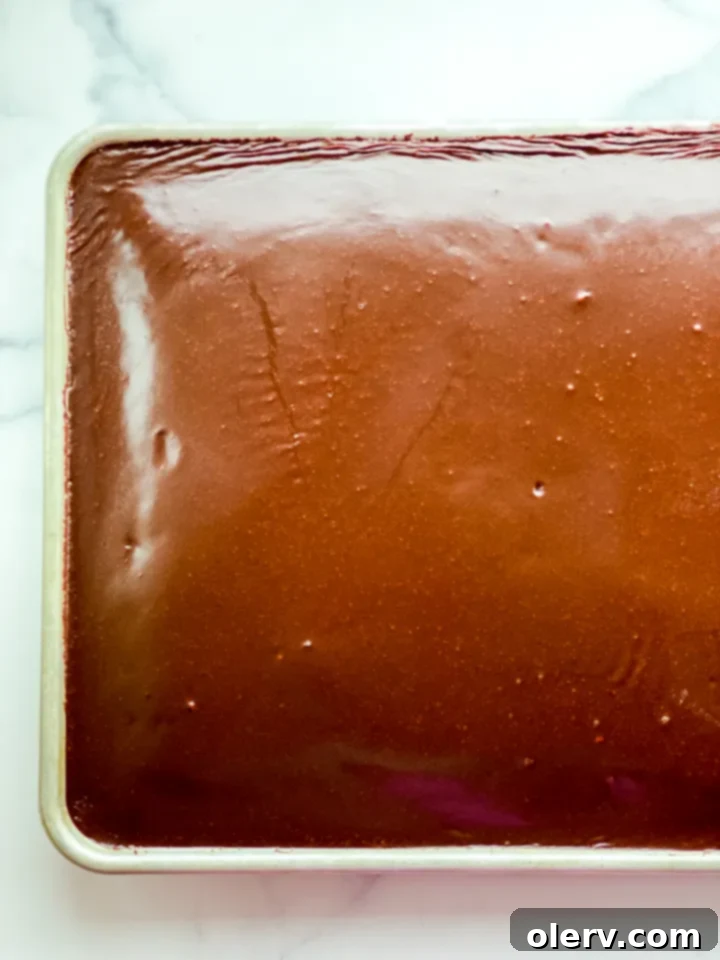Lone Star Chocolate Delight 2 A slice of moist Texas Sheet Cake topped with smooth chocolate frosting, ready to be enjoyed.