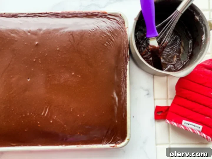 Lone Star Chocolate Delight 3 A beautifully frosted Texas Sheet Cake, baked to perfection in a large sheet pan.