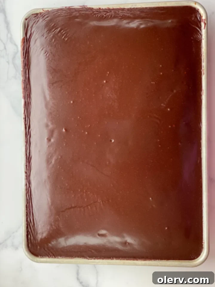 Lone Star Chocolate Delight 5 A close-up of a generous slice of Texas Sheet Cake with its shiny, smooth chocolate frosting.