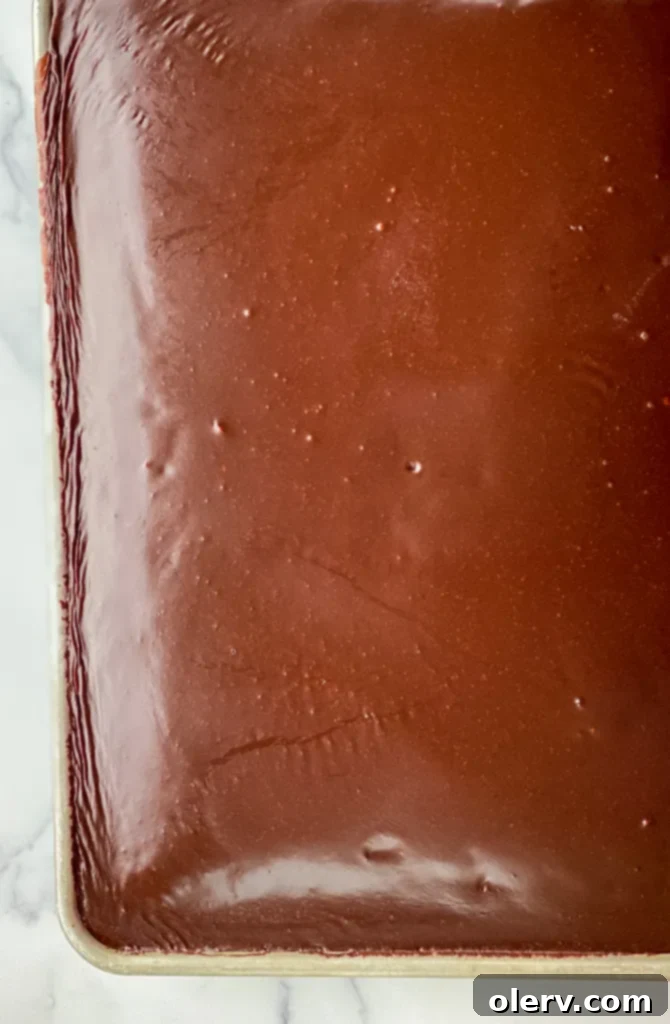 Lone Star Chocolate Delight 6 A large Texas Sheet Cake in a pan, cut into squares, with some pieces already taken.