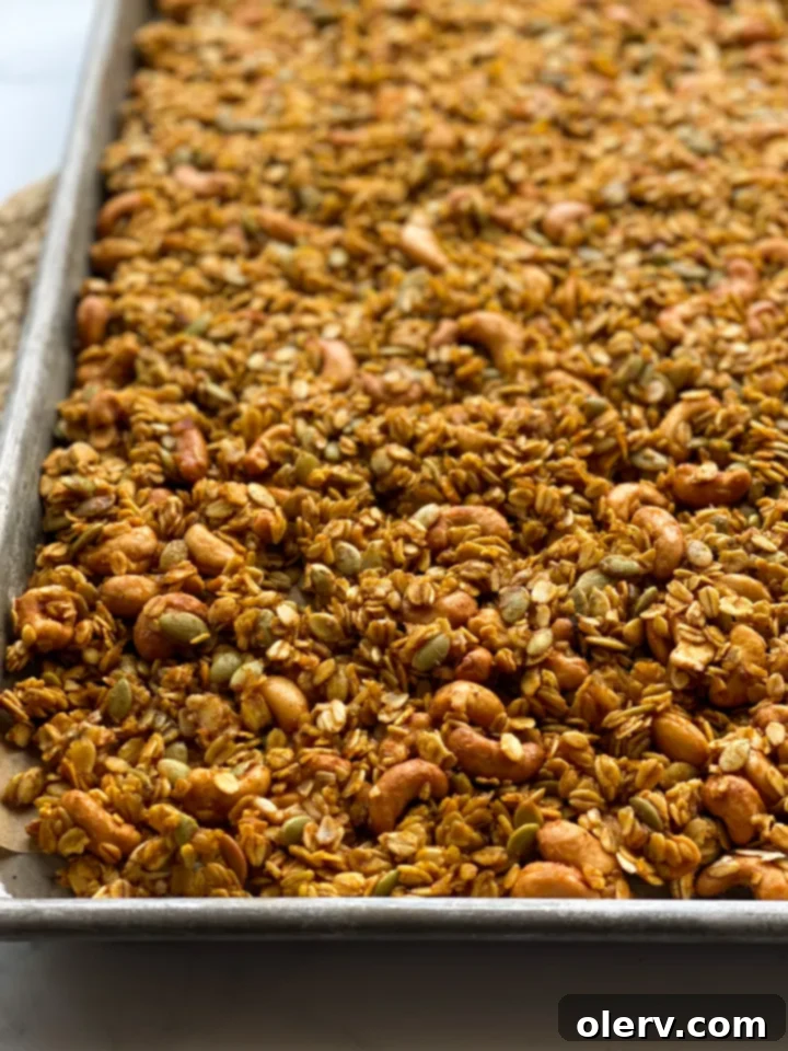 Pumpkin Spice Crunch 4 A bowl of dry ingredients for pumpkin granola, including oats, cashews, and pumpkin seeds, awaiting the wet mixture.