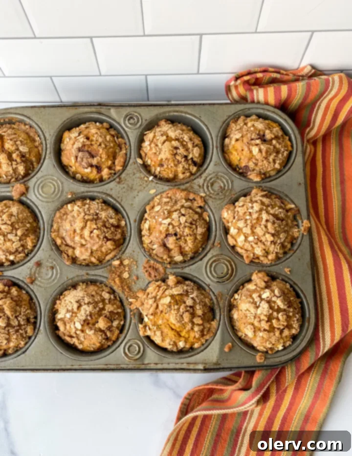 Cozy Autumn Muffins 3 Two hands holding a freshly baked pumpkin zucchini muffin, showcasing its golden-brown streusel topping.