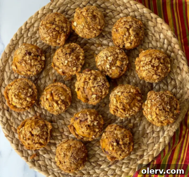 Cozy Autumn Muffins 8 Delicious Pumpkin Zucchini Muffins topped with a golden streusel crumble