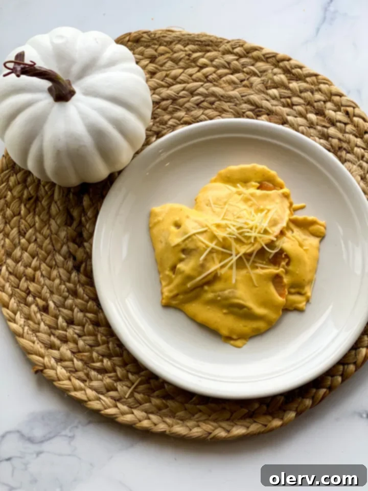 Creamy Pumpkin Alfredo 7 A bowl of creamy pumpkin alfredo pasta, garnished and ready to serve.