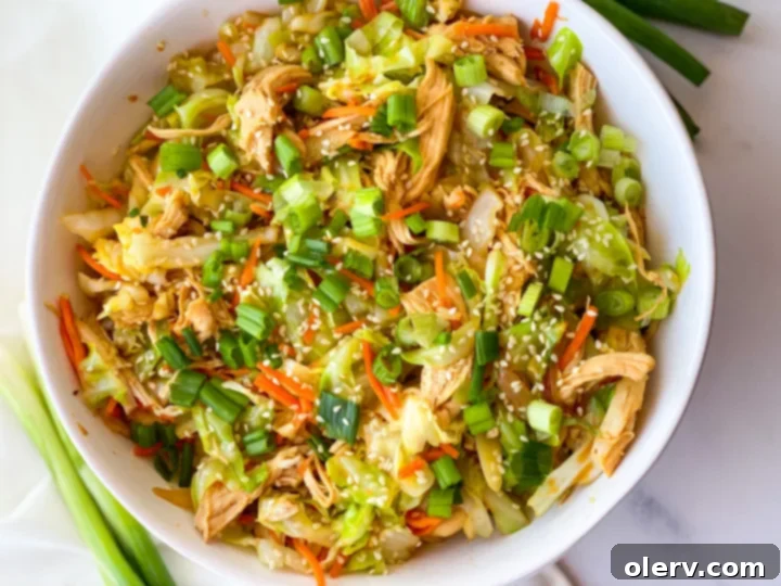 Easy Instant Pot Egg Roll Bowl 3 Close-up of Instant Pot Egg Roll in a Bowl with chicken and vegetables