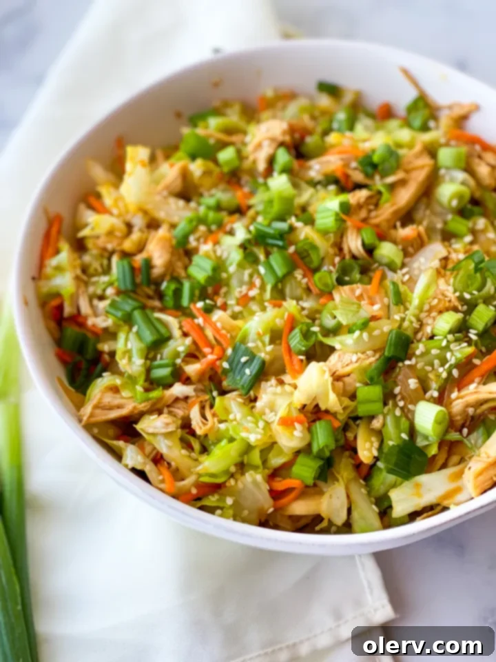 Easy Instant Pot Egg Roll Bowl 5 A bowl of Instant Pot Egg Roll in a Bowl with a spoon, ready to eat