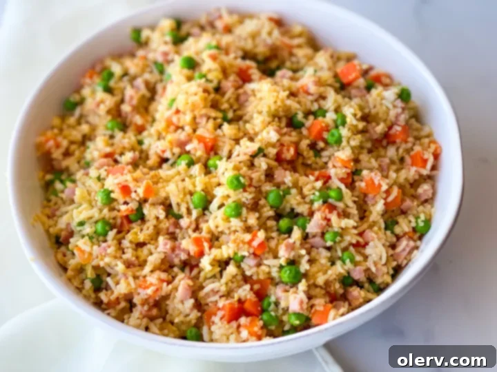 Quick Instant Pot Ham Fried Rice 3 A bowl of Instant Pot Ham Fried Rice with a spoon, showing the mixture of rice, ham, eggs, and vegetables.