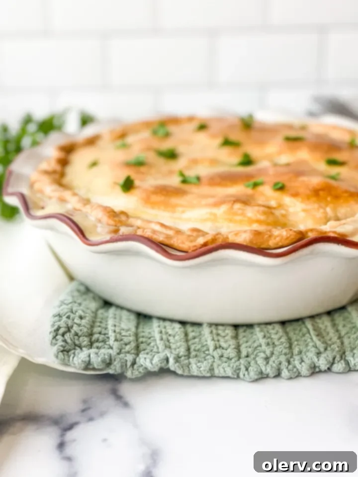 Effortless Golden Chicken Pot Pie 3 Ingredients for Easy Chicken Pot Pie