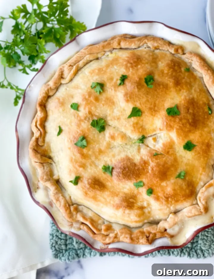 Effortless Golden Chicken Pot Pie 6 Baked Easy Chicken Pot Pie