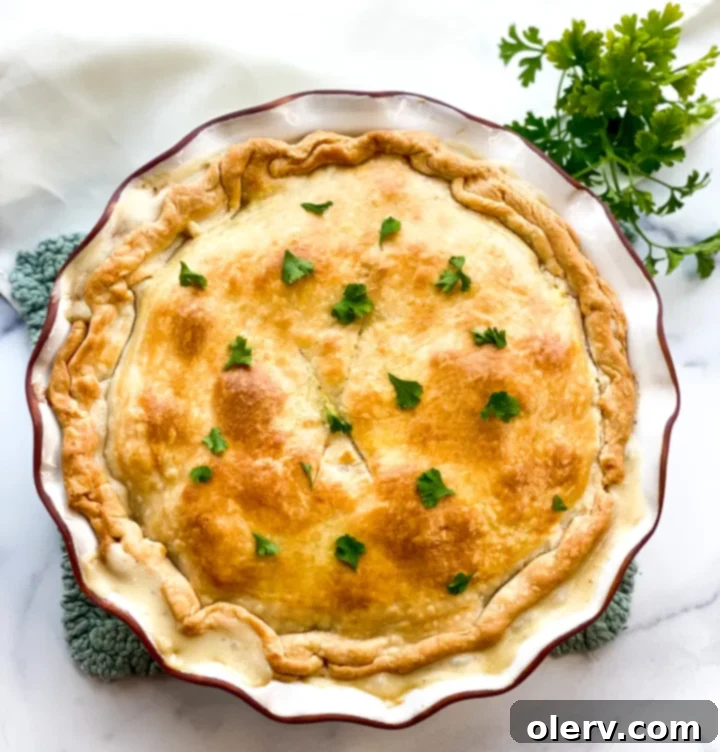 Effortless Golden Chicken Pot Pie 7 Close up of baked chicken pot pie slice