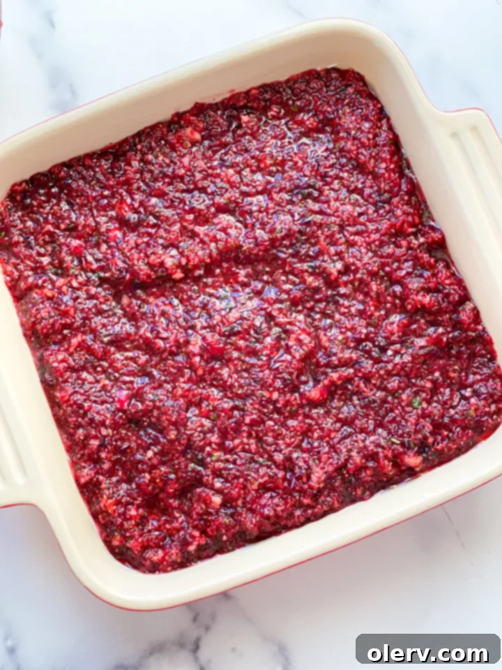 Creamy Cranberry Delight 4 Fresh cranberries and other ingredients laid out for dip preparation