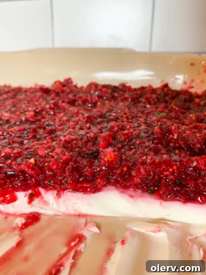 Creamy Cranberry Delight 5 Ingredients being pulsed in a food processor for cranberry salsa