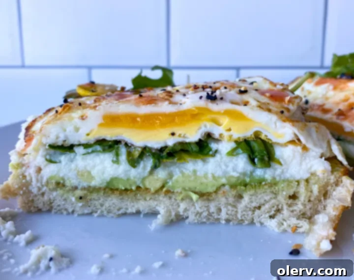 The Ultimate Avocado Toast 5 A selection of creative avocado toast topping options