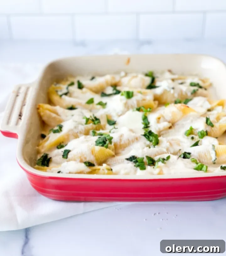 Creamy Ricotta Stuffed Shells 2 Delicious baked jumbo pasta shells filled with creamy ricotta and covered in Alfredo sauce.