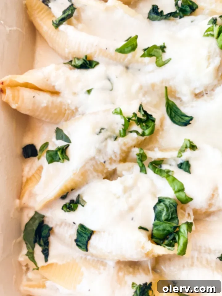 Creamy Ricotta Stuffed Shells 4 A dish of baked stuffed jumbo shells, ready to be served.