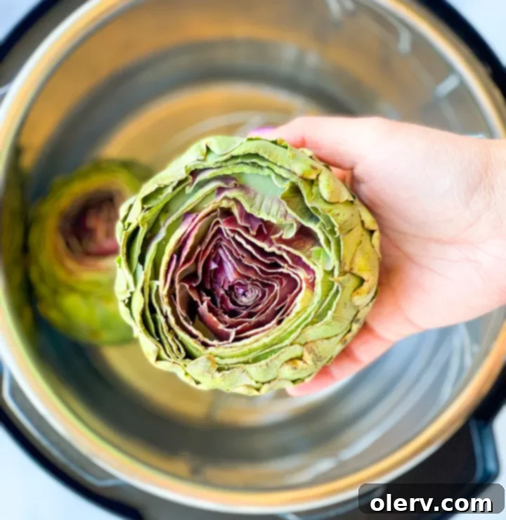 Easy Instant Pot Artichokes 3 Close-up of a whole, uncooked fresh artichoke, highlighting its vibrant green color