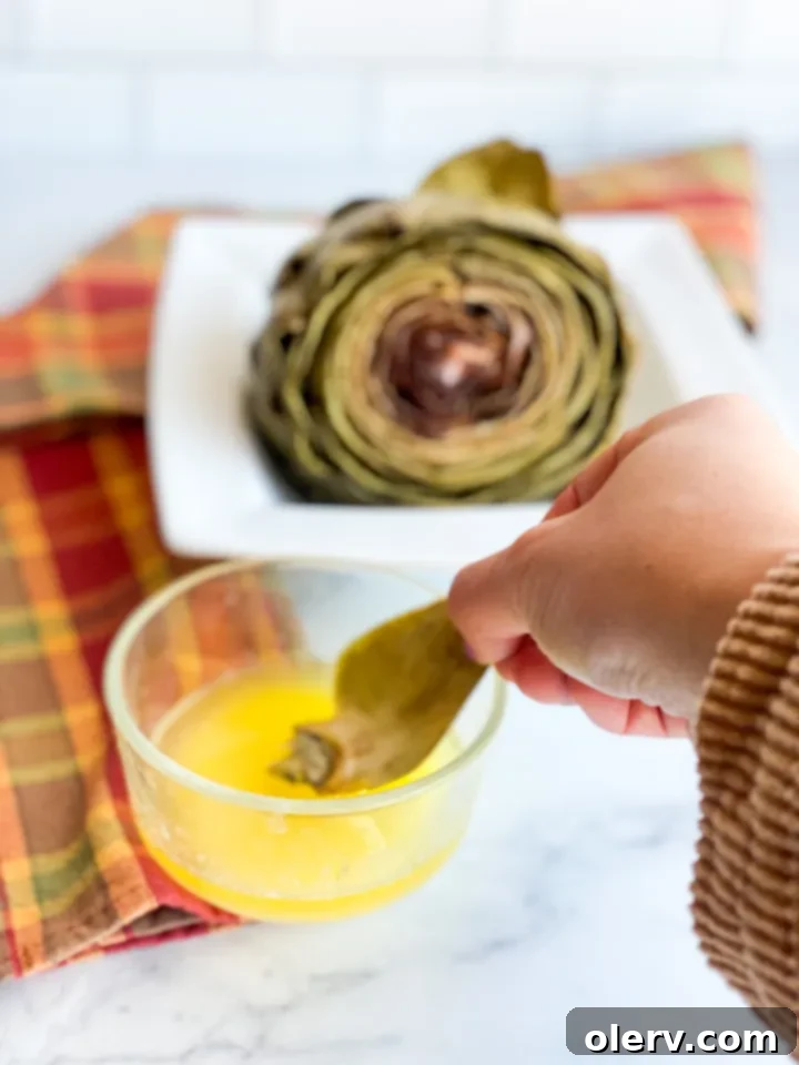 Easy Instant Pot Artichokes 4 Artichokes trimmed and prepped for cooking in the Instant Pot, showing the cut stem and top