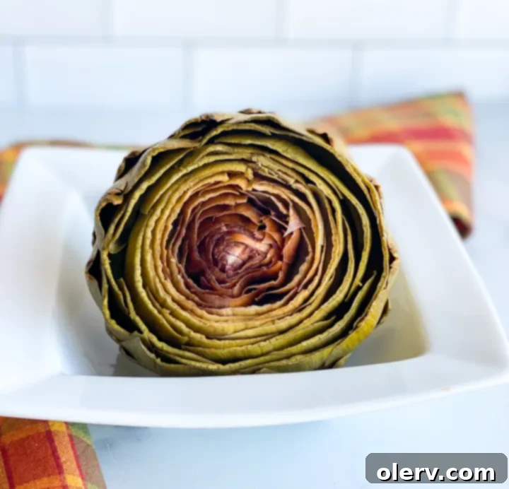 Easy Instant Pot Artichokes 6 Close-up of an artichoke heart, the delicious core of the vegetable, after removing the choke